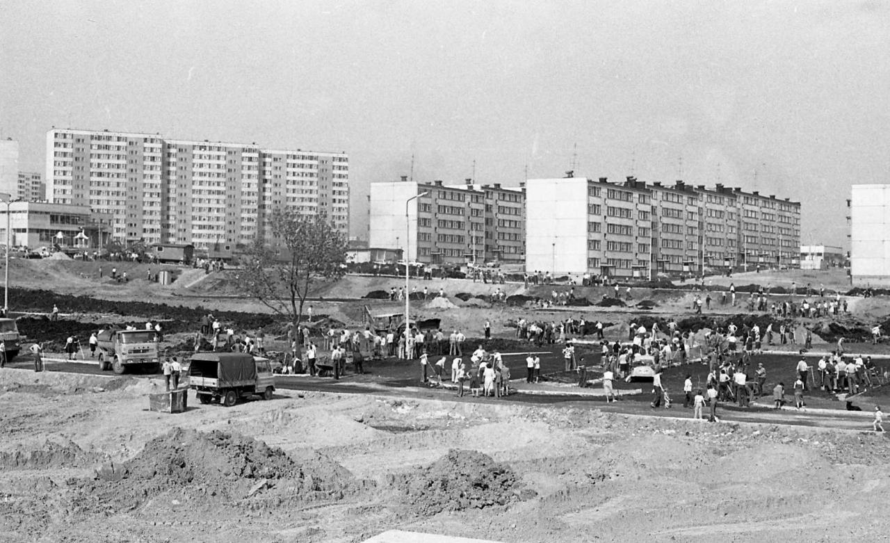 010.jpg