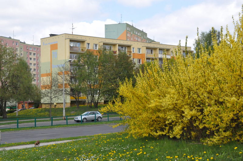 Budynkiwiosna2011065.jpg