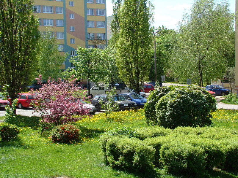 DSC01028.JPG