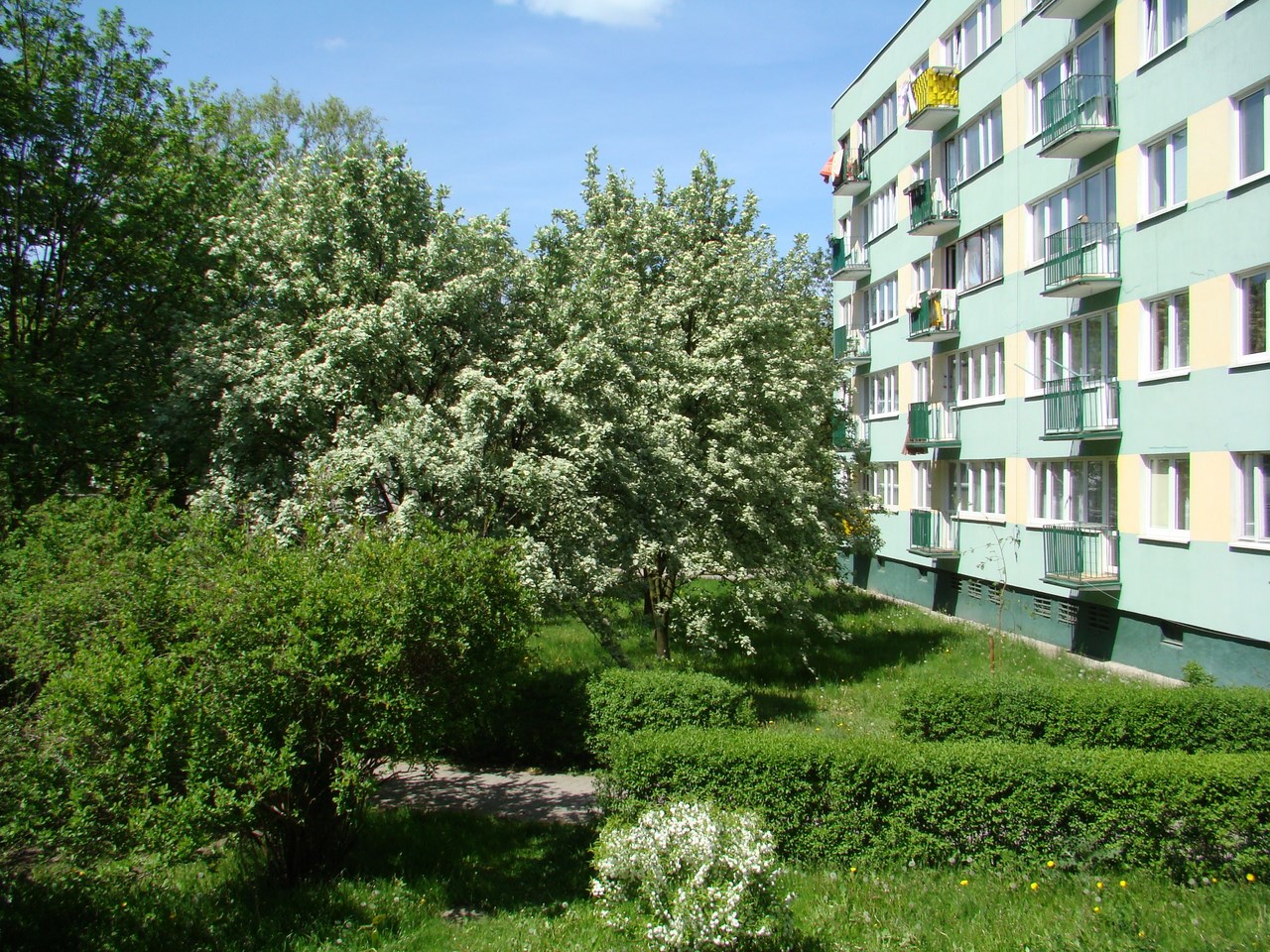 DSC01031.JPG
