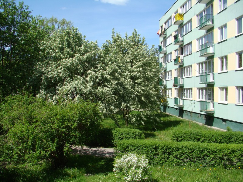 DSC01031a.JPG