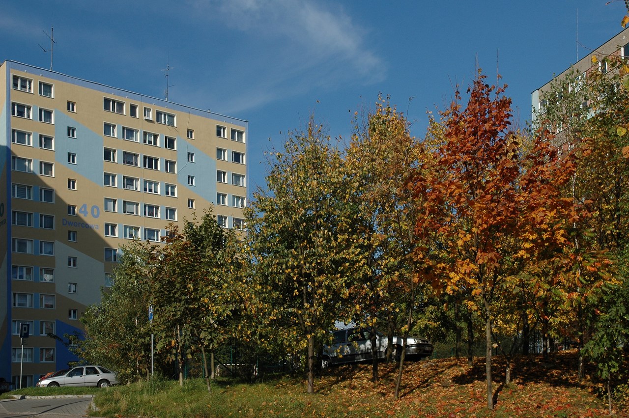 DSC_0044.jpg