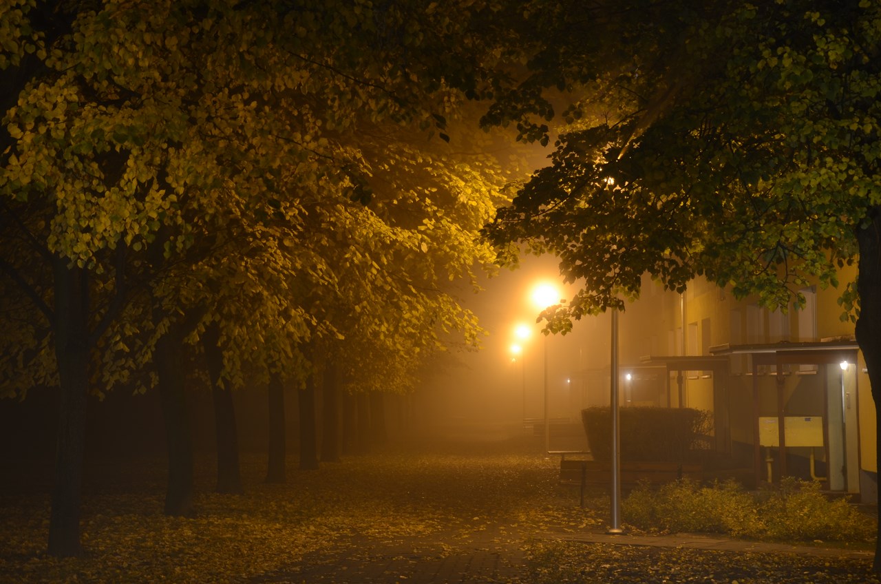DSC_3600.JPG