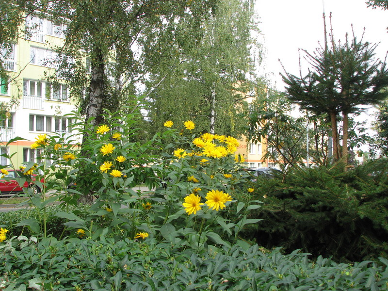IMG_4177.JPG