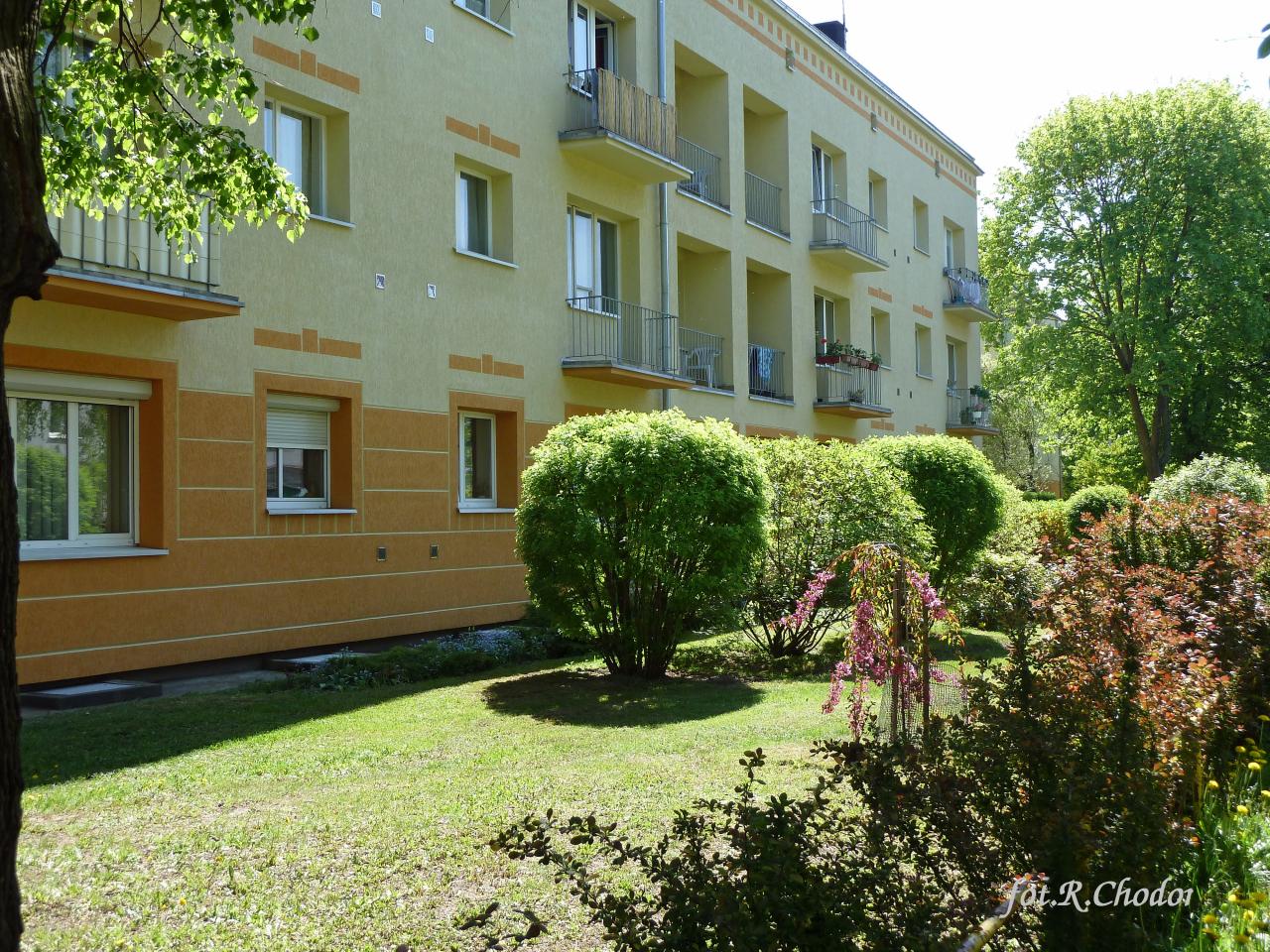 P1010820.JPG