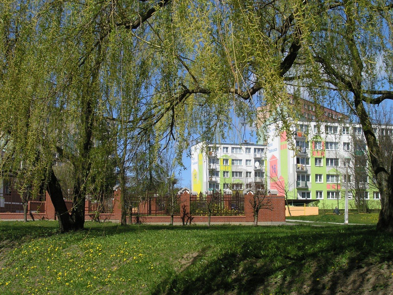 P4210203.jpg