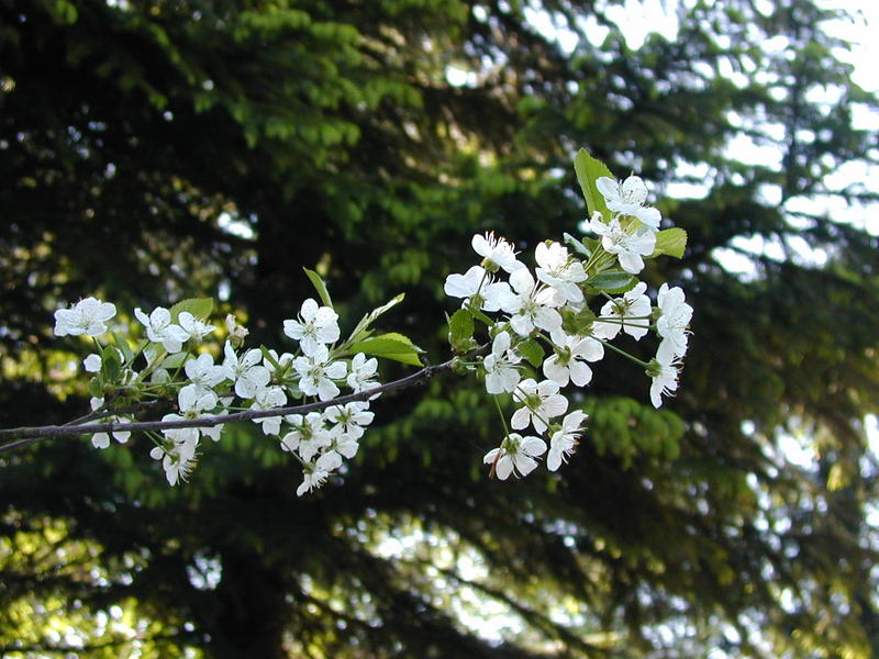 P5050032.JPG