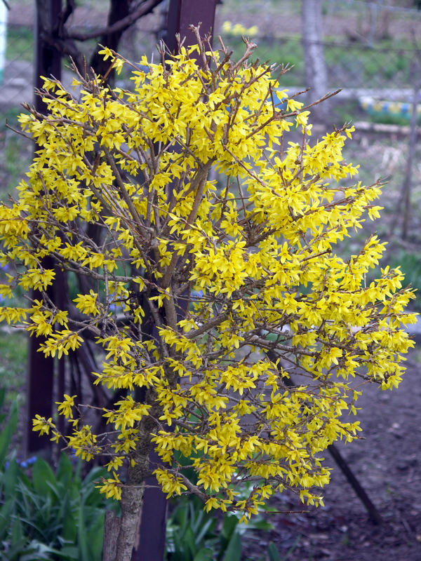 PICT0012.JPG