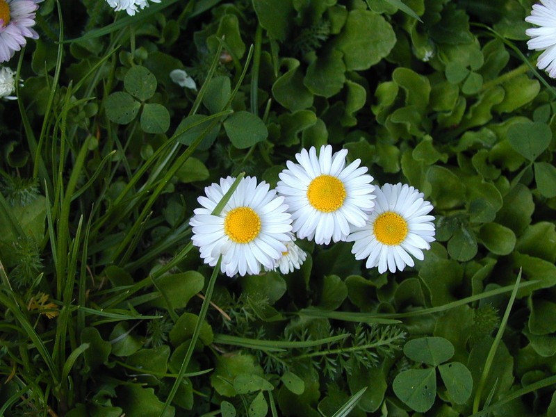 P_5050025.JPG