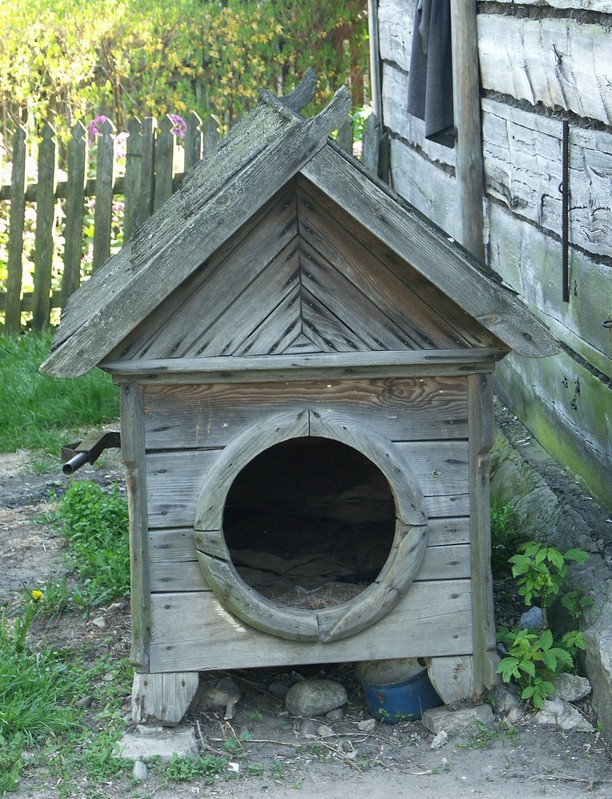 nowogrod10.jpg