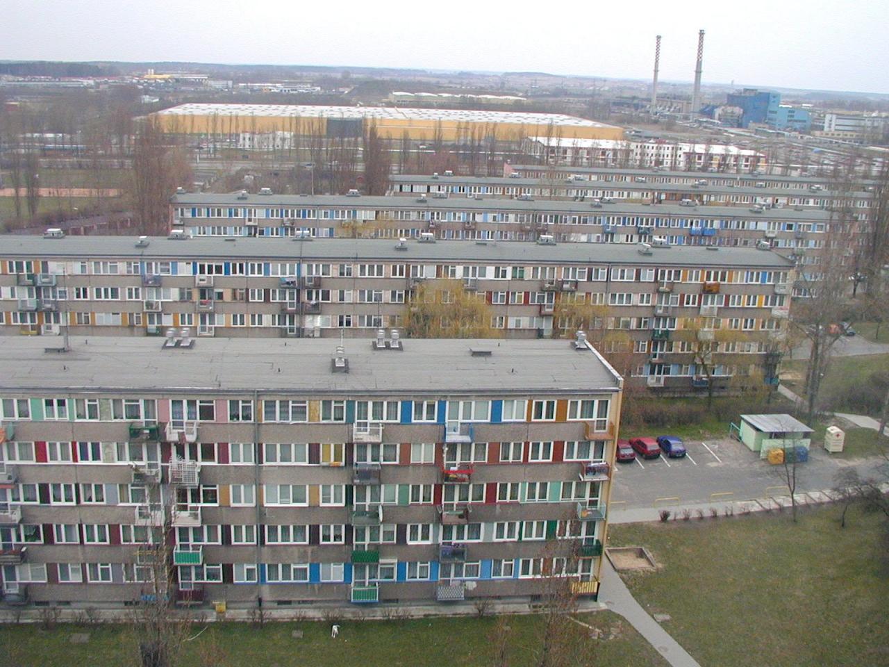 stare_2.jpg