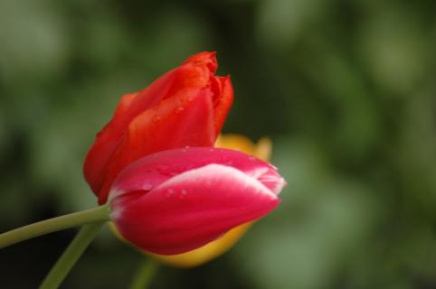 DSC_0056.JPG