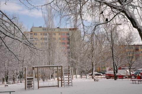 DSC_0422.JPG