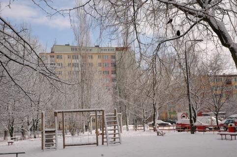 DSC_276.JPG