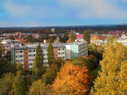 KALEND91.JPG