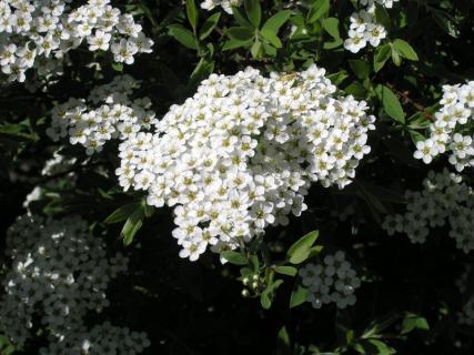 P_5020046.JPG